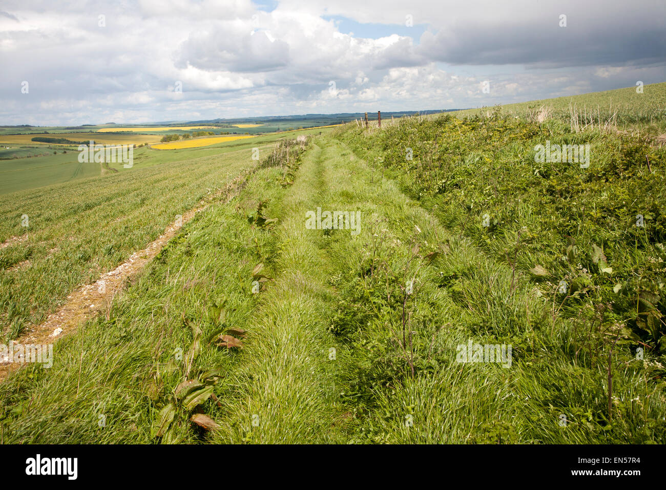 Traccia di erba attraversando chalk paesaggio del Marlborough Downs, vicino Oriente Kennett, Wiltshire, Inghilterra, Regno Unito Foto Stock