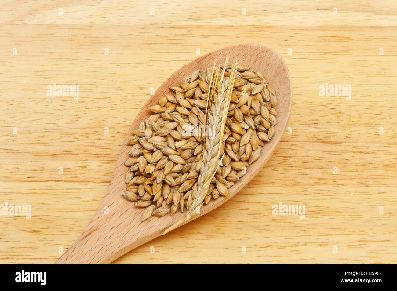 Chicchi d'orzo e orecchio di orzo in un cucchiaio di legno su una tavola di legno Foto Stock