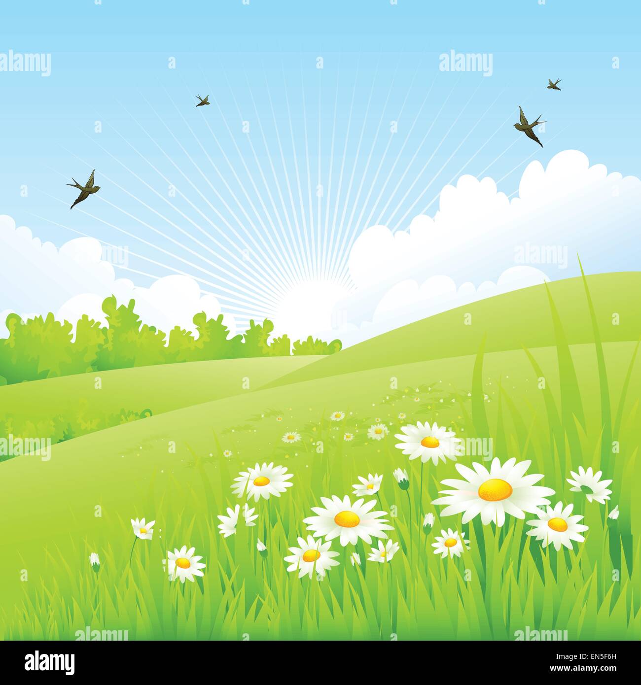 Pulire la molla incredibili panorami. Illustrazione vettoriale EPS 10 Illustrazione Vettoriale