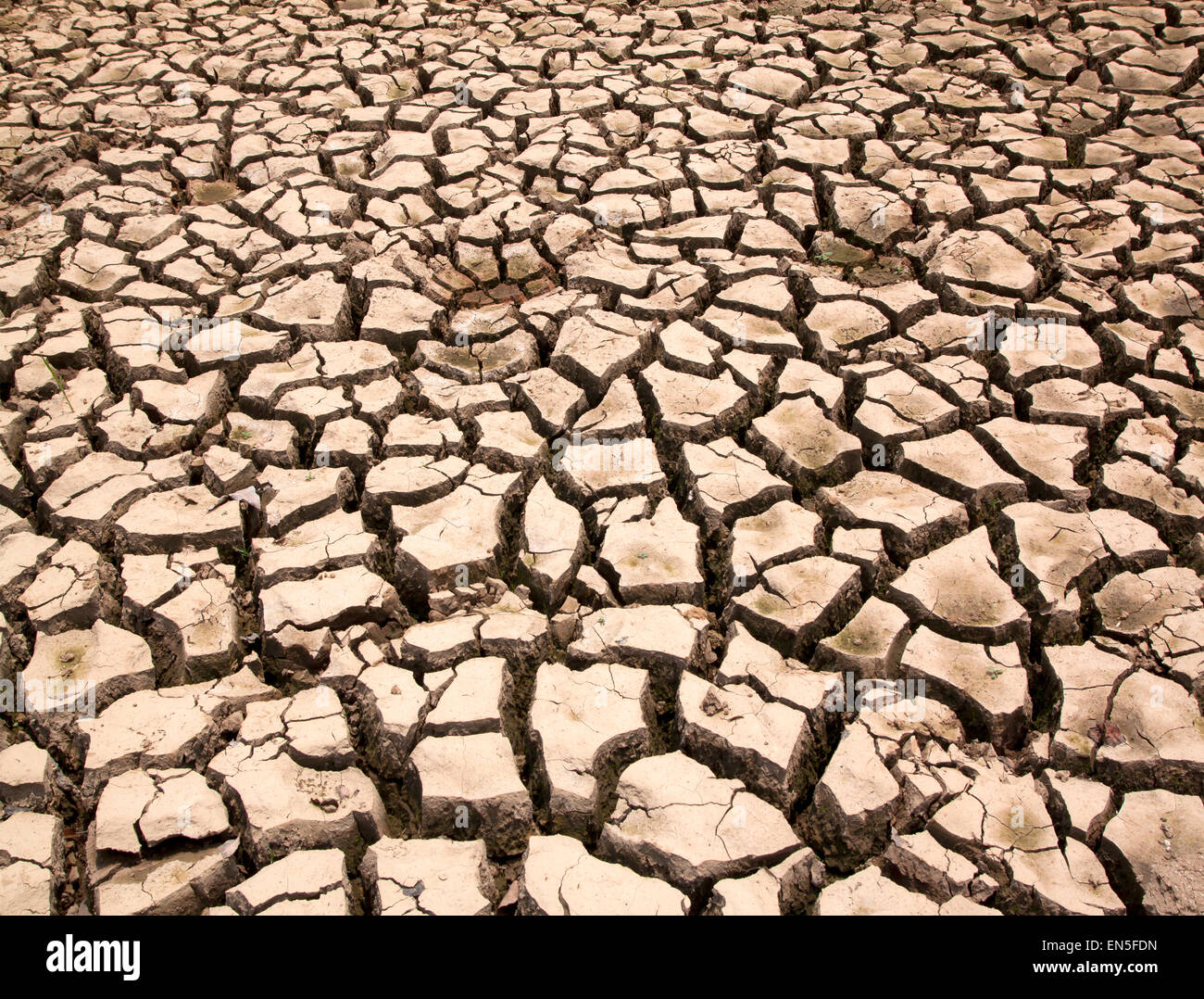 Siccità terreno crepe niente acqua calda la mancanza di umidità. Foto Stock