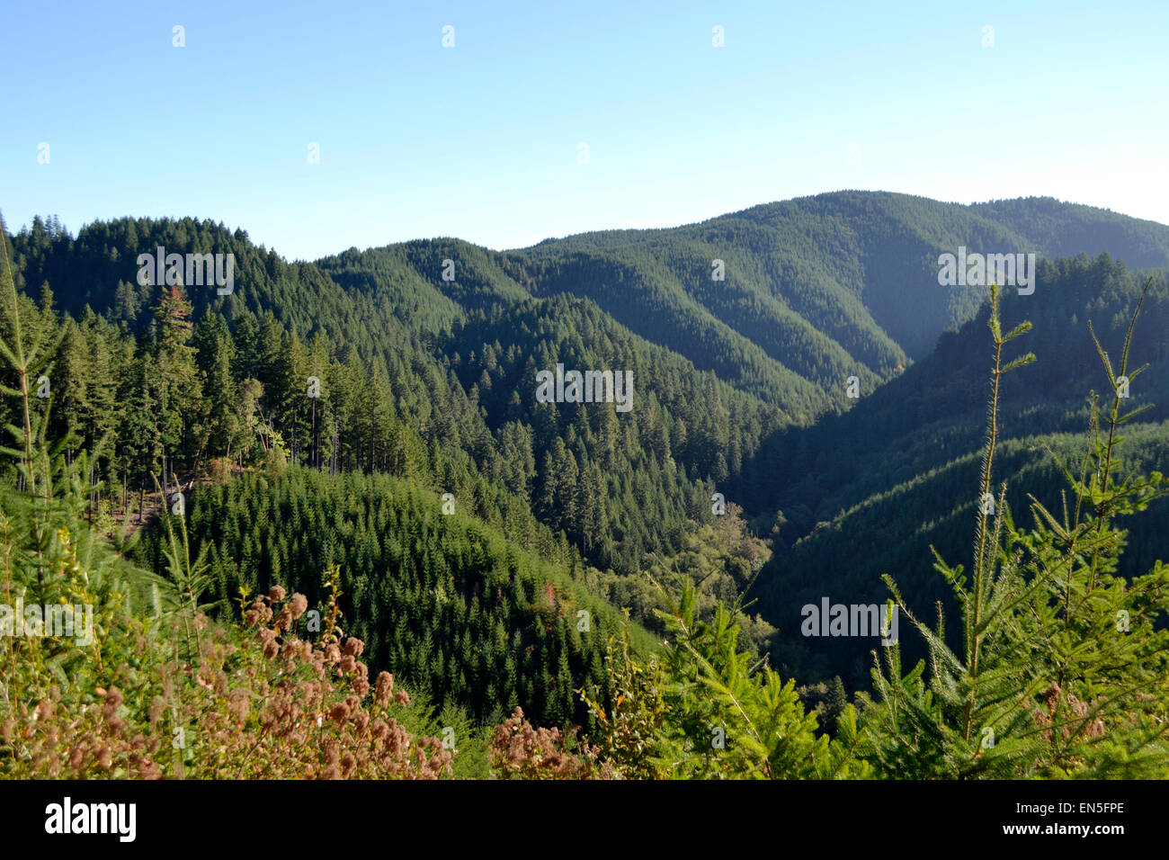 Oregon Mountain Range Foto Stock