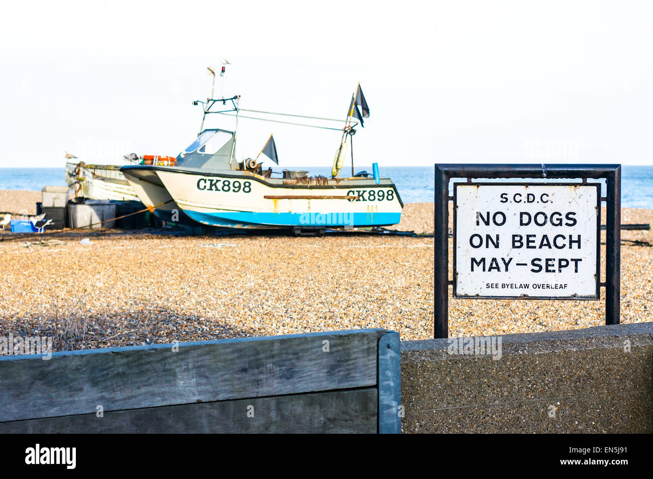 No cani sulla spiaggia segno su una spiaggia di ghiaia in Inghilterra. Foto Stock