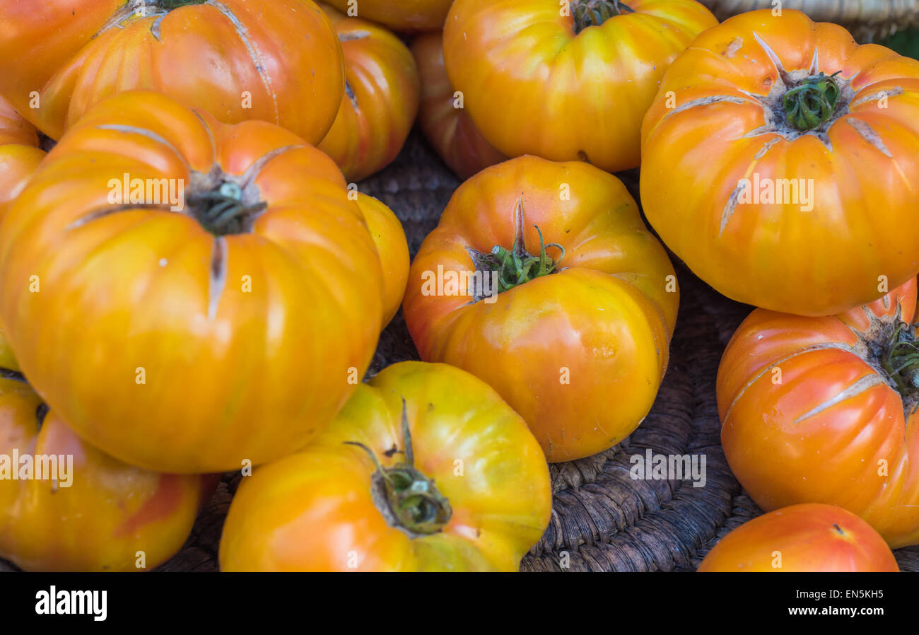 Pomodori giallo nel mercato Foto Stock