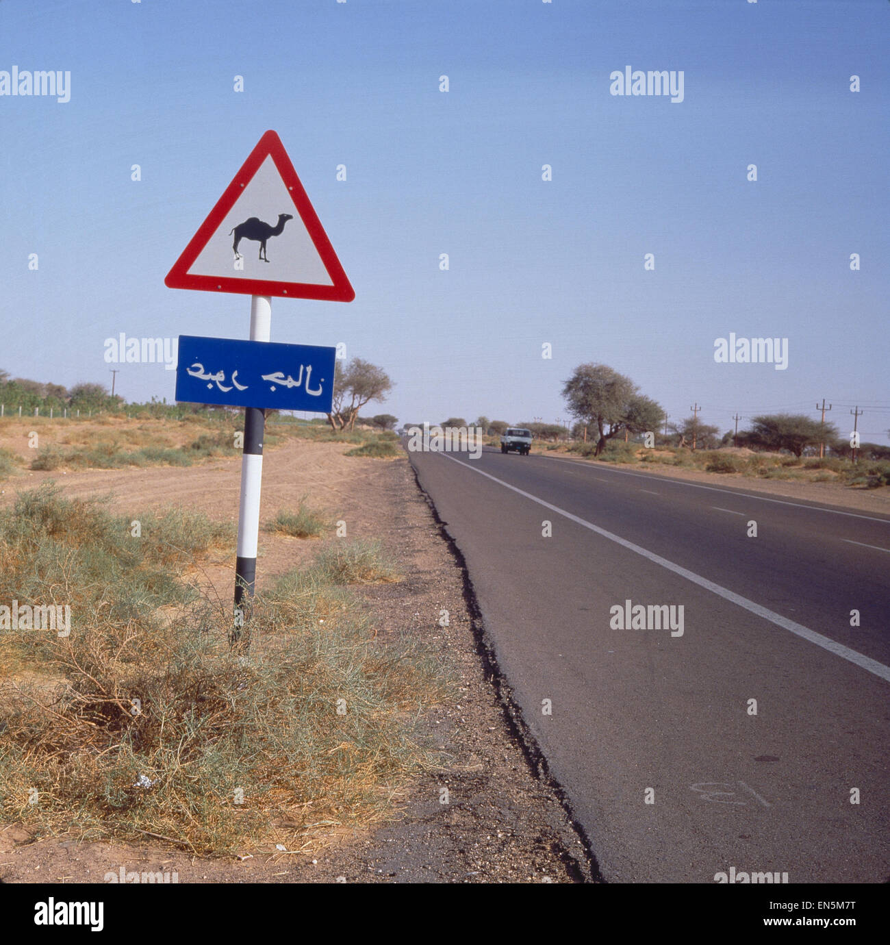 Vereinigte Arabische Emirate, Ein Auto auf der Wüstenstraße und Warnschild 'Kamele' Foto Stock