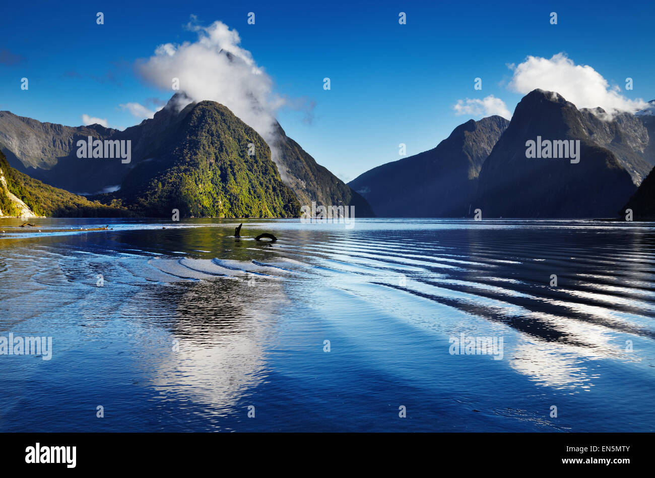 Il fiordo di Milford Sound, Isola del Sud, Nuova Zelanda Foto Stock