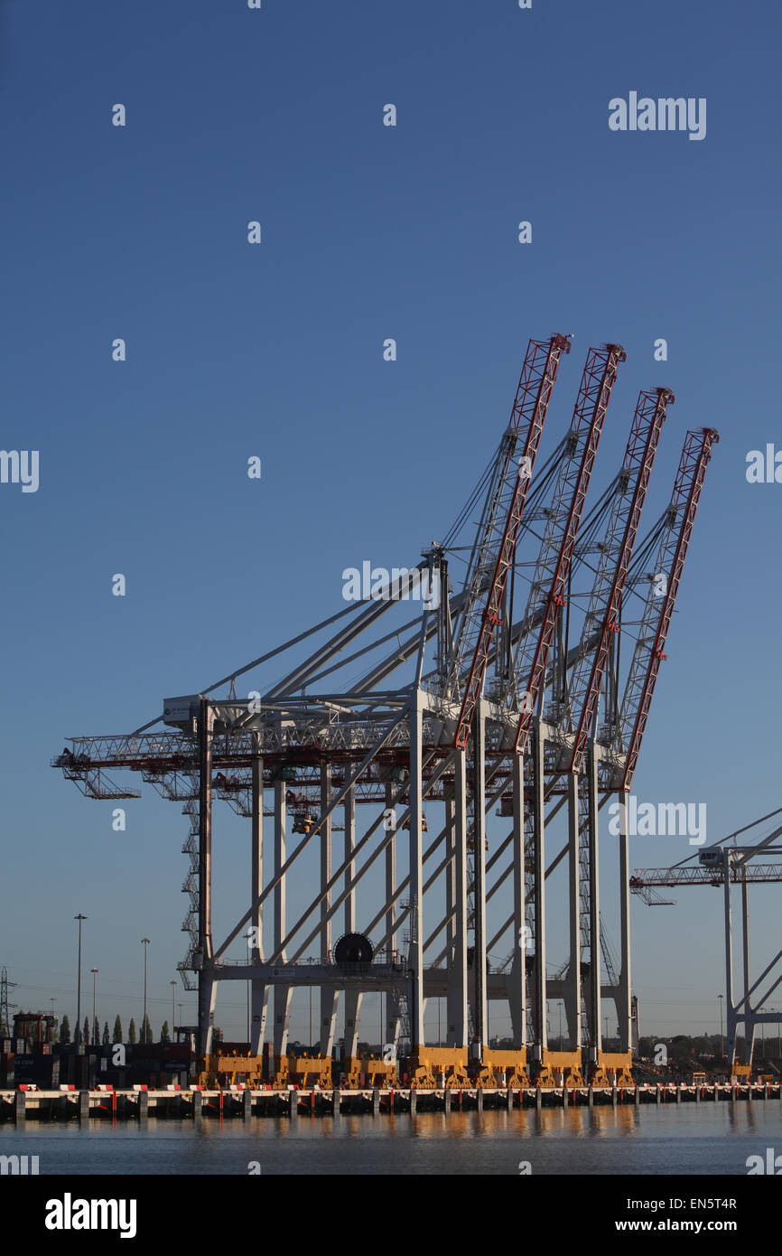 DP World container dal porto di Southampton Docks Foto Stock