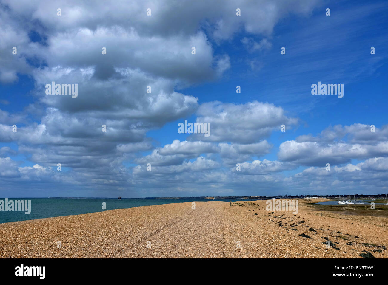 Hurst Spit vicino Keyhaven New Forest Hampshire England Regno Unito Foto Stock