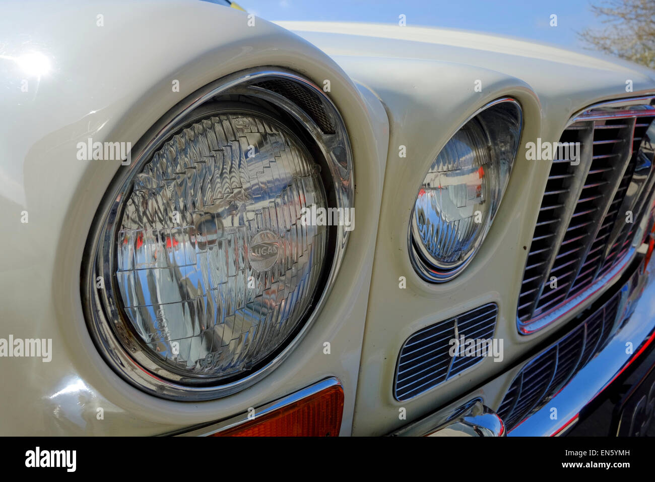 Fari anteriori di un classico della Jaguar Foto Stock