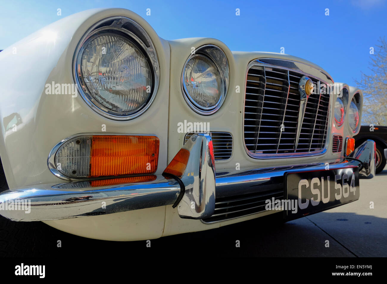 Parte anteriore di un classico della Jaguar Foto Stock