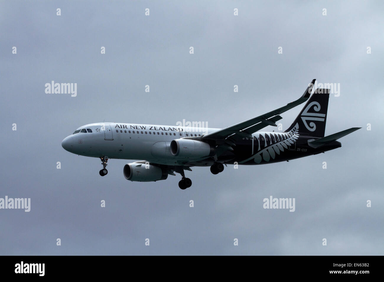 Air New Zealand Airbus A320-200 atterraggio all'aeroporto internazionale di Wellington, Wellington, Isola del nord, Nuova Zelanda Foto Stock