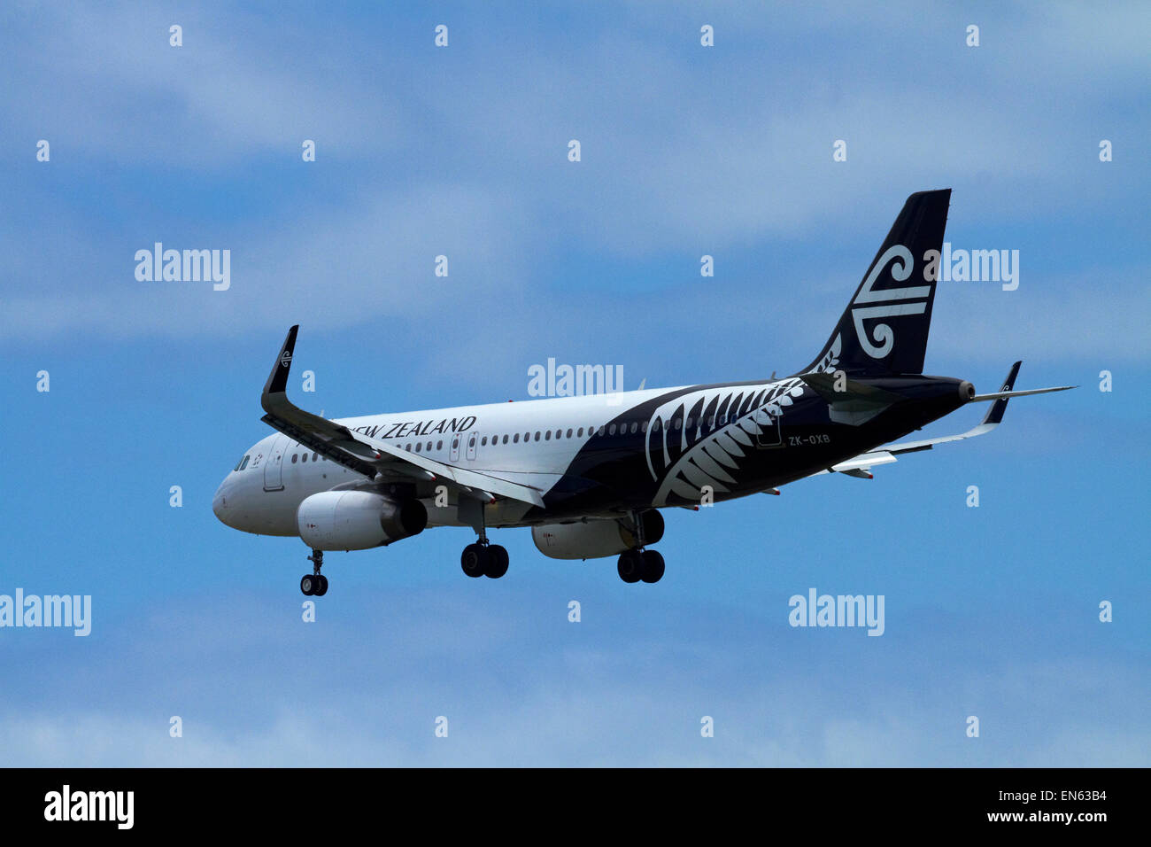 Air New Zealand Airbus A320-200 atterraggio all'aeroporto internazionale di Wellington, Wellington, Isola del nord, Nuova Zelanda Foto Stock