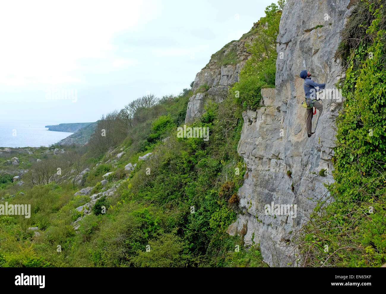 Arrampicata su roccia presso le talee di Portland Dorset Regno Unito Foto Stock