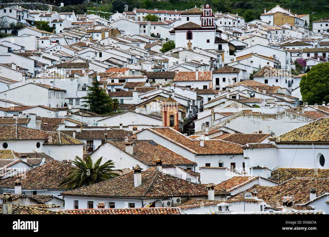 Vista attraverso i tetti della città bianca, pueblo blanco, di Grazalema, Sierra de Grazalema, Cadice provincia, Andalusia, Spagna Foto Stock