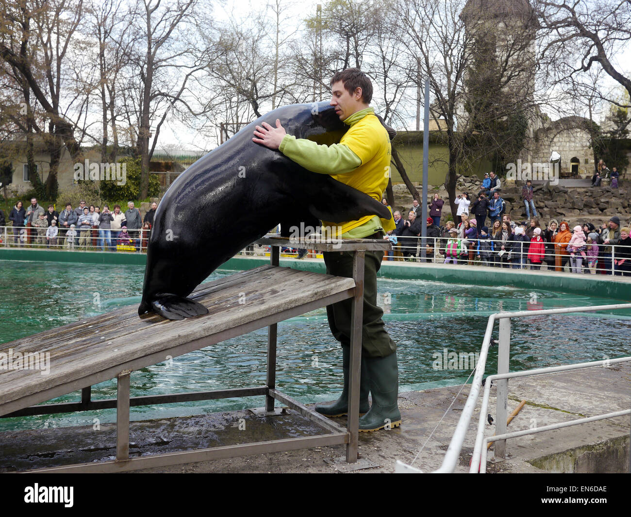 Mostra tenuta presso lo Zoo di Budapest, Ungheria Foto Stock