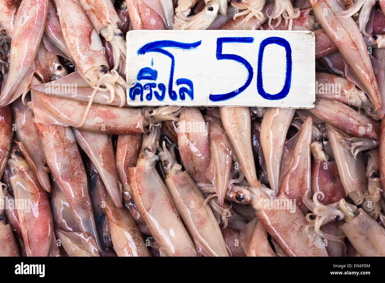 Calamari in vendita presso il Mae Glong mercato ferroviario, Thailandia Foto Stock