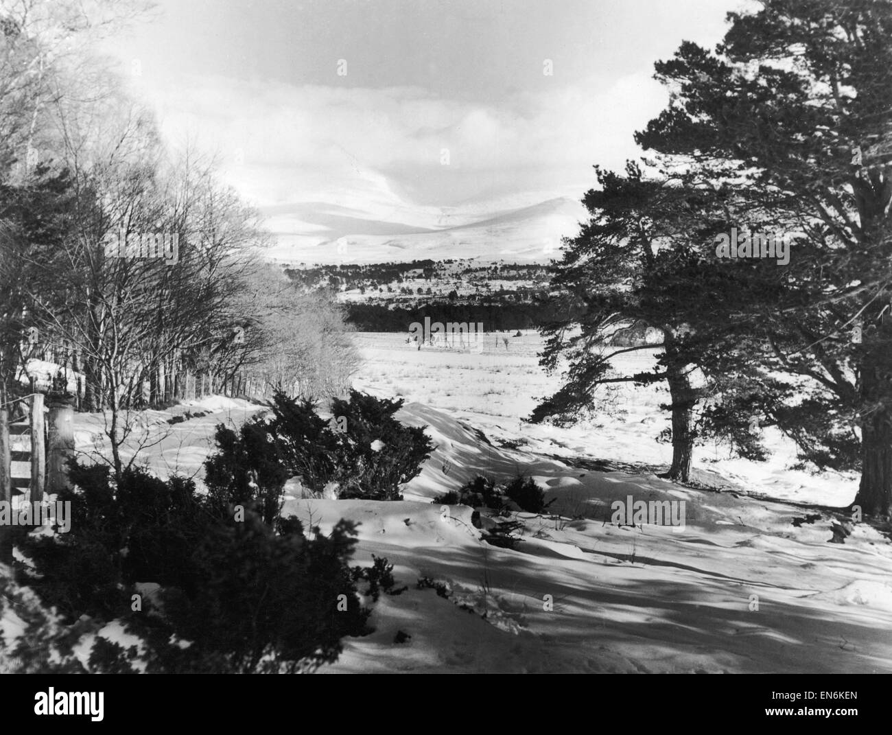 Vista generale che mostra la Cairngorms da Geln Mor lodge in Invernesshire nel periodo invernale. Circa 1947. Foto Stock