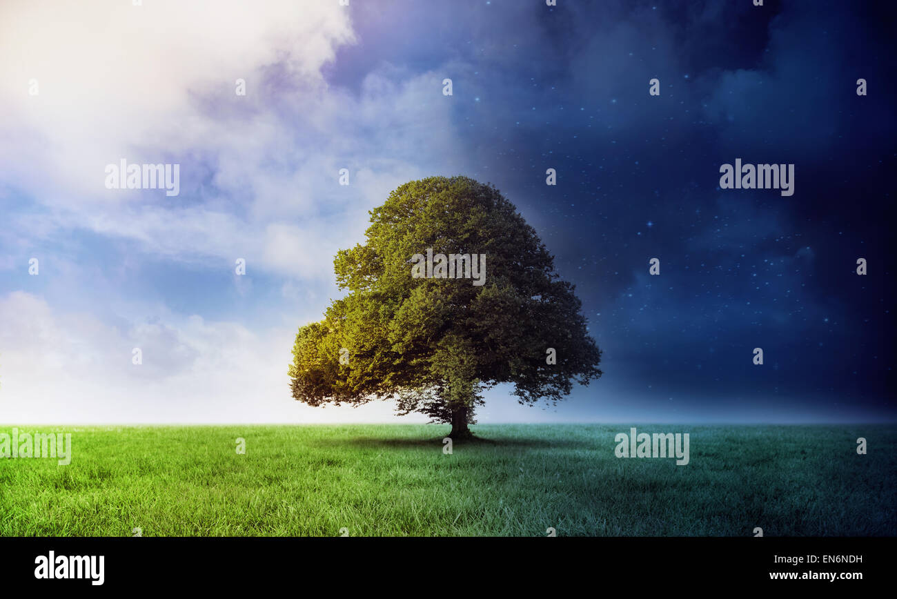 Il giorno e la notte in scena con struttura ad albero Foto Stock