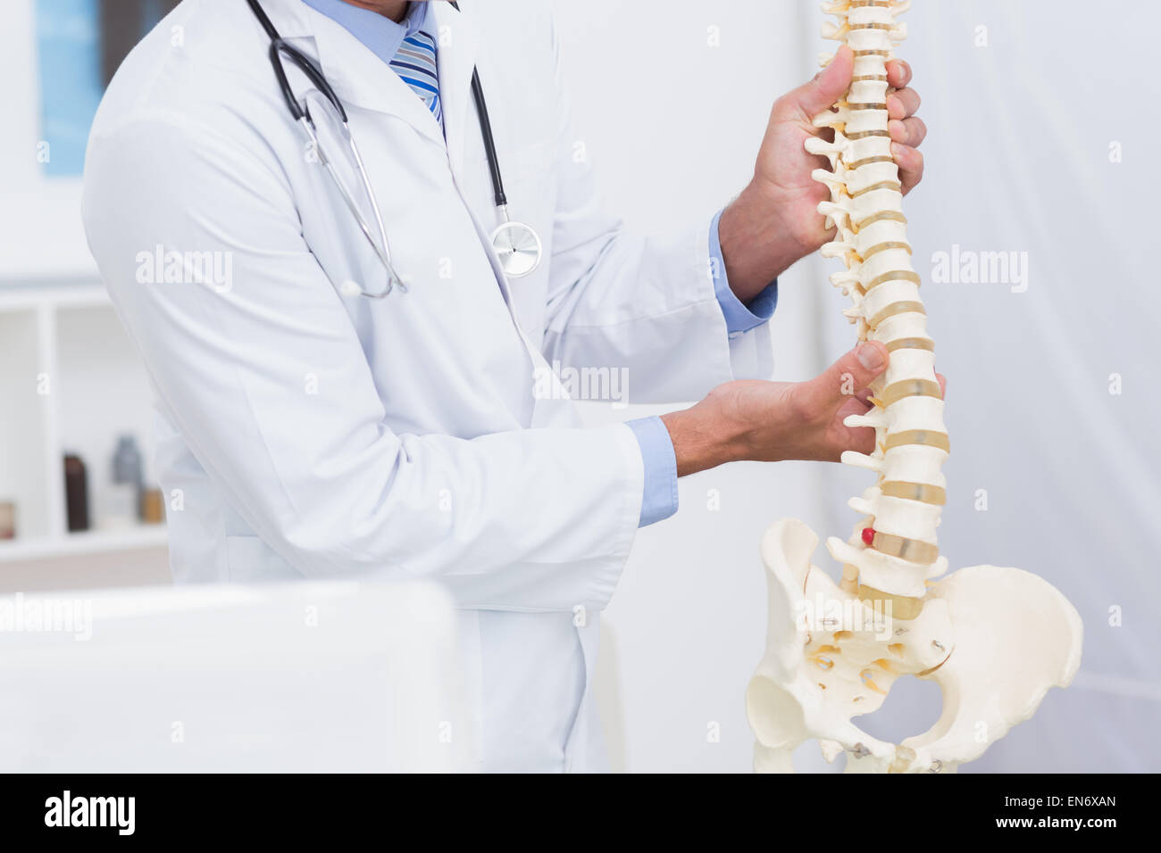 Medico tenendo la colonna vertebrale anatomica Foto Stock