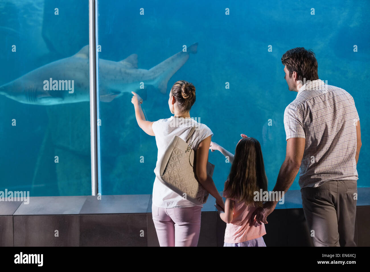 La famiglia felice guardando shark Foto Stock