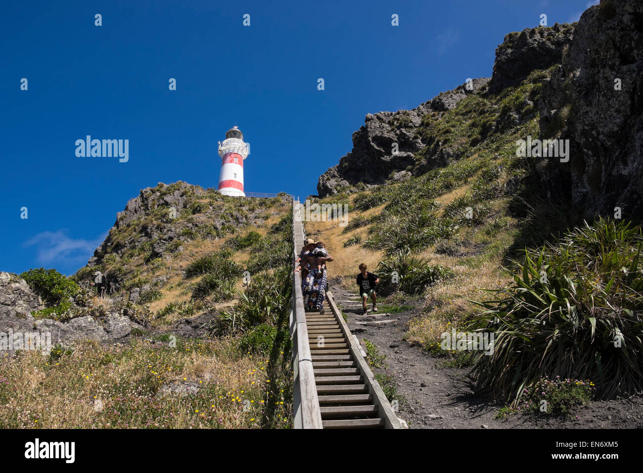 Cape Palliser lighthouse in piedi sulla cima di una scogliera fino 252 passi, Nuova Zelanda. Foto Stock