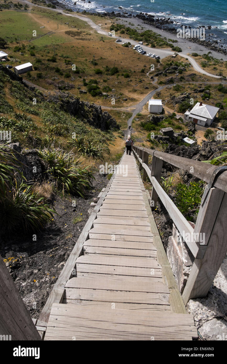 Guardando verso il basso il 252 passi a Cape Palliser faro, Nuova Zelanda. Foto Stock