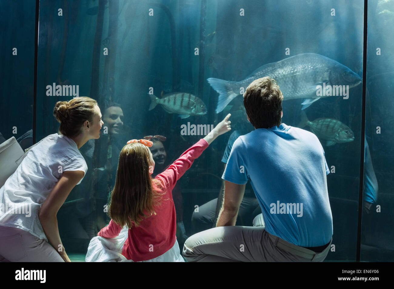 Famiglia guardando il pesce serbatoio Foto Stock