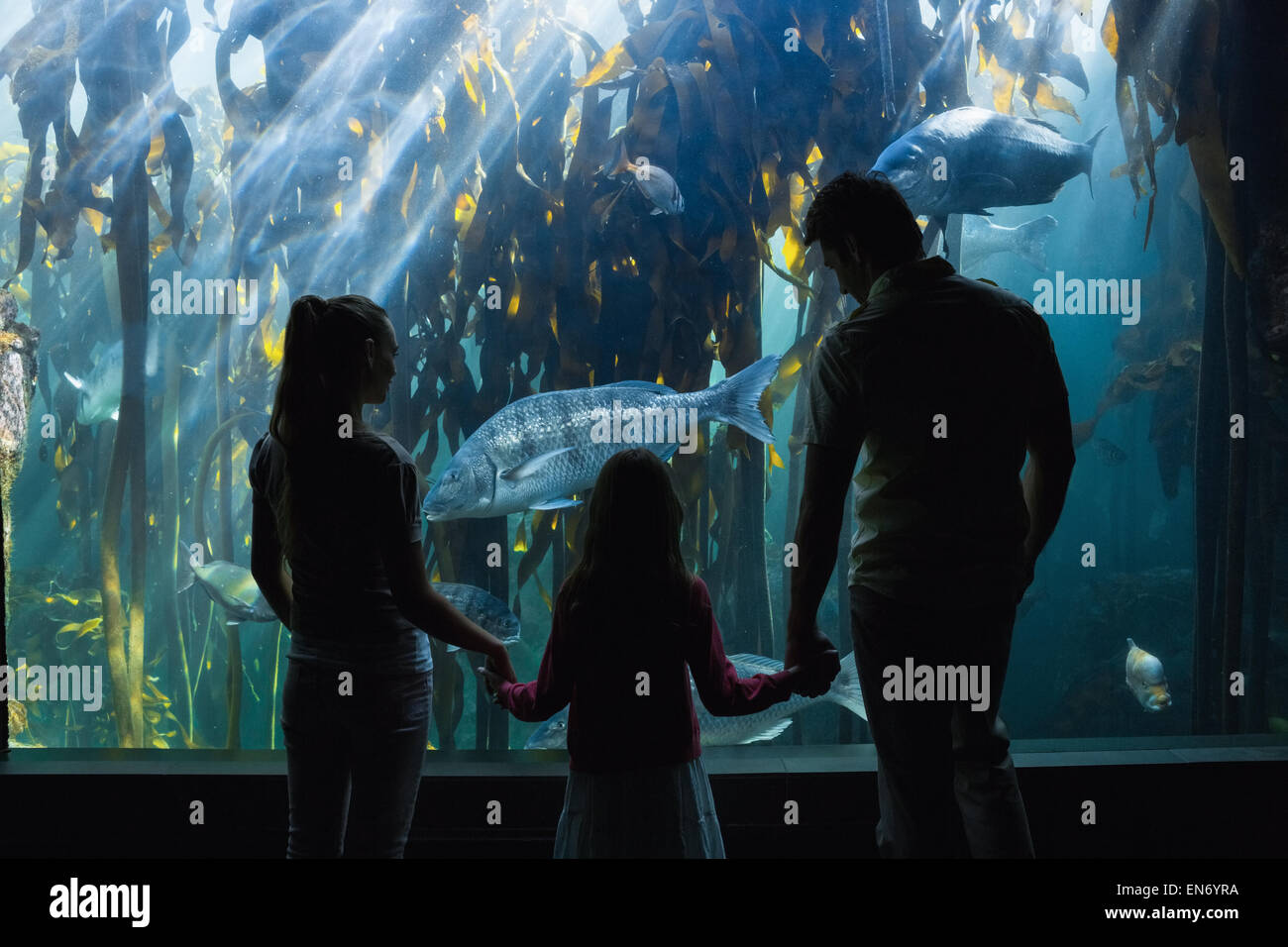 La famiglia felice guardando il pesce serbatoio Foto Stock