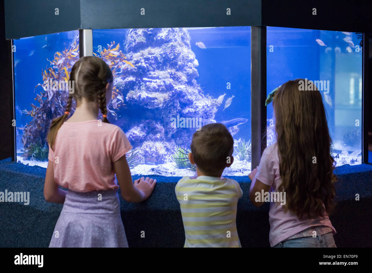 Carino bambini guardando il pesce serbatoio Foto Stock