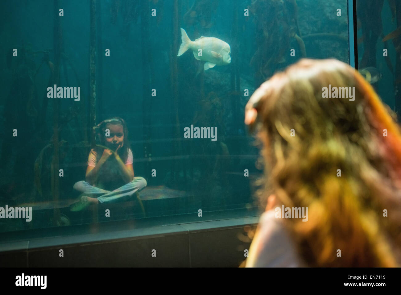Bambina guardando il pesce serbatoio Foto Stock