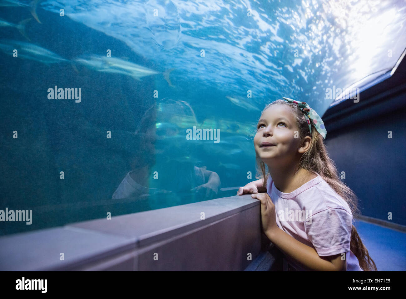 Bambina guardando il pesce serbatoio Foto Stock