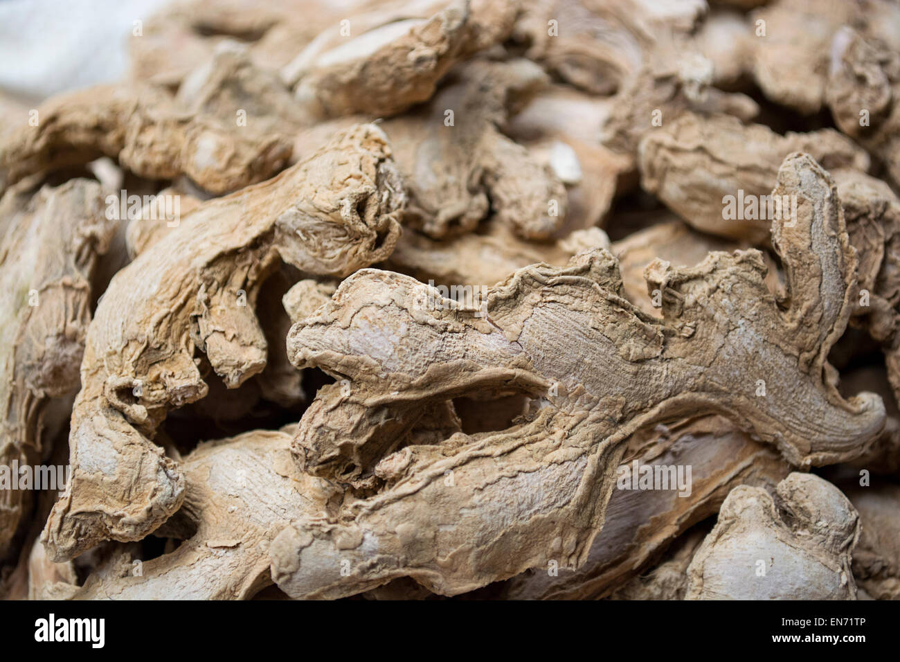 Close-up di zenzero essiccato per la vendita al mercato Foto Stock