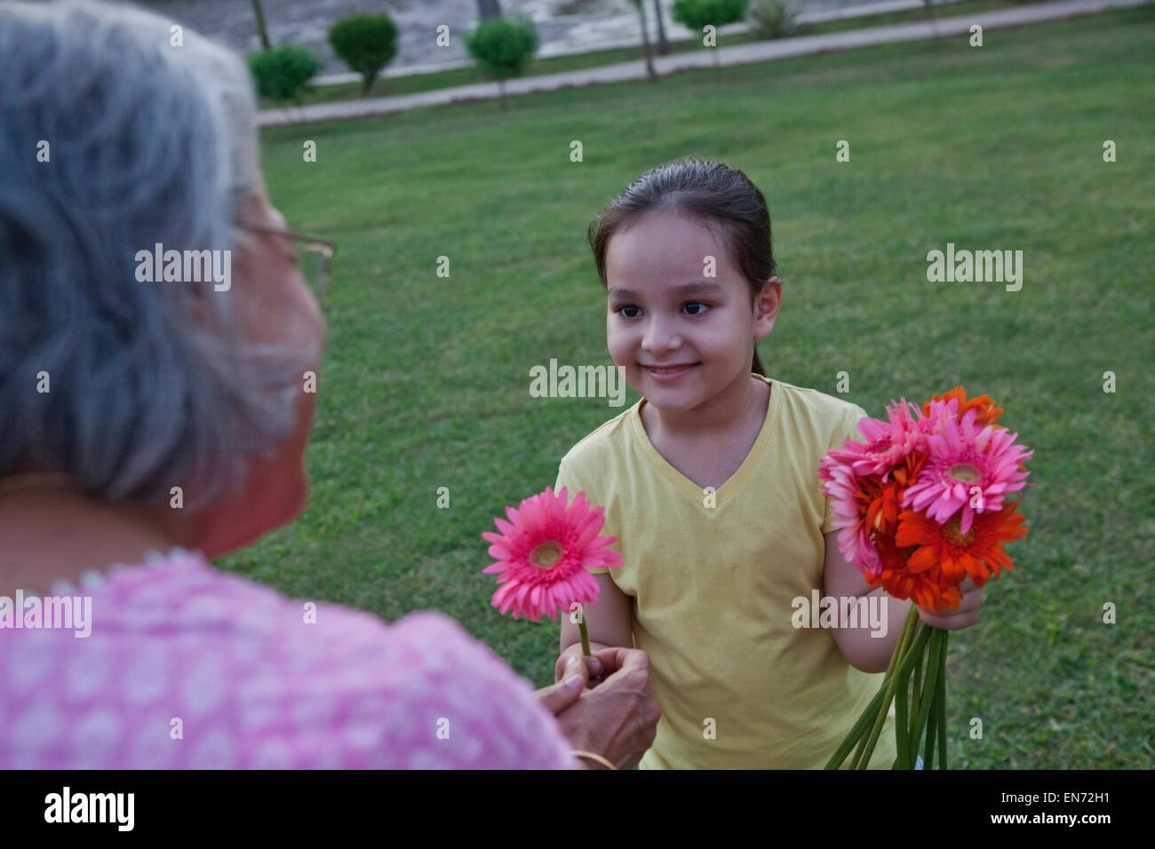 Ragazza dando la sua nonna un fiore Foto Stock