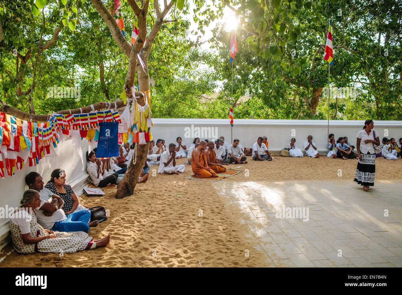 Pellegrini pregano presso Sri Maha Bodhi in Anuradhapura, Sri Lanka. Foto Stock