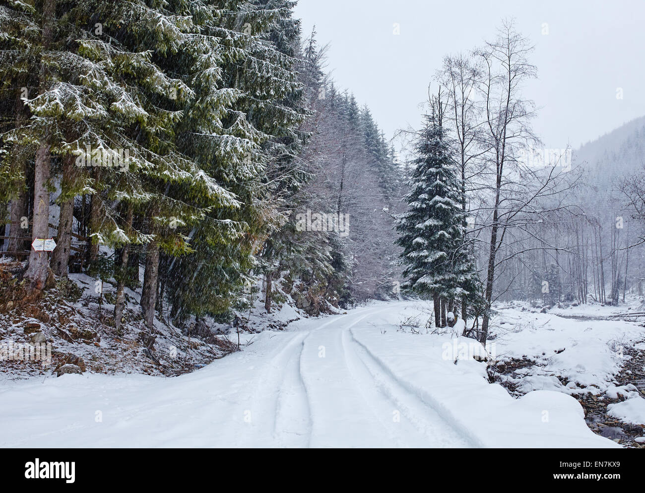 Paesaggio con la strada innevata in inverno attraverso una foresta di pini Foto Stock