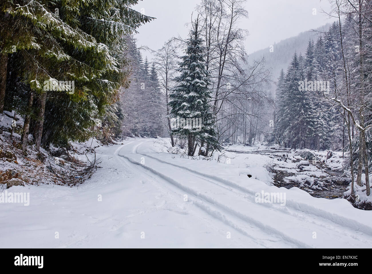 Paesaggio con la strada innevata in inverno attraverso una foresta di pini Foto Stock