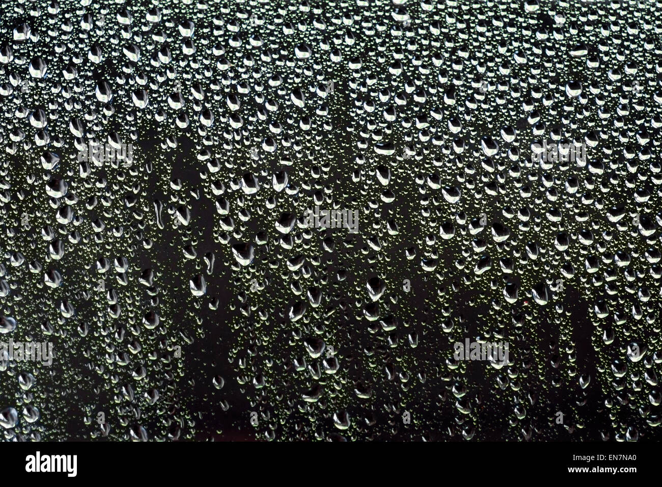 Le goccioline di acqua su un vetro auto dopo un acquazzone tropicale 03 Foto Stock