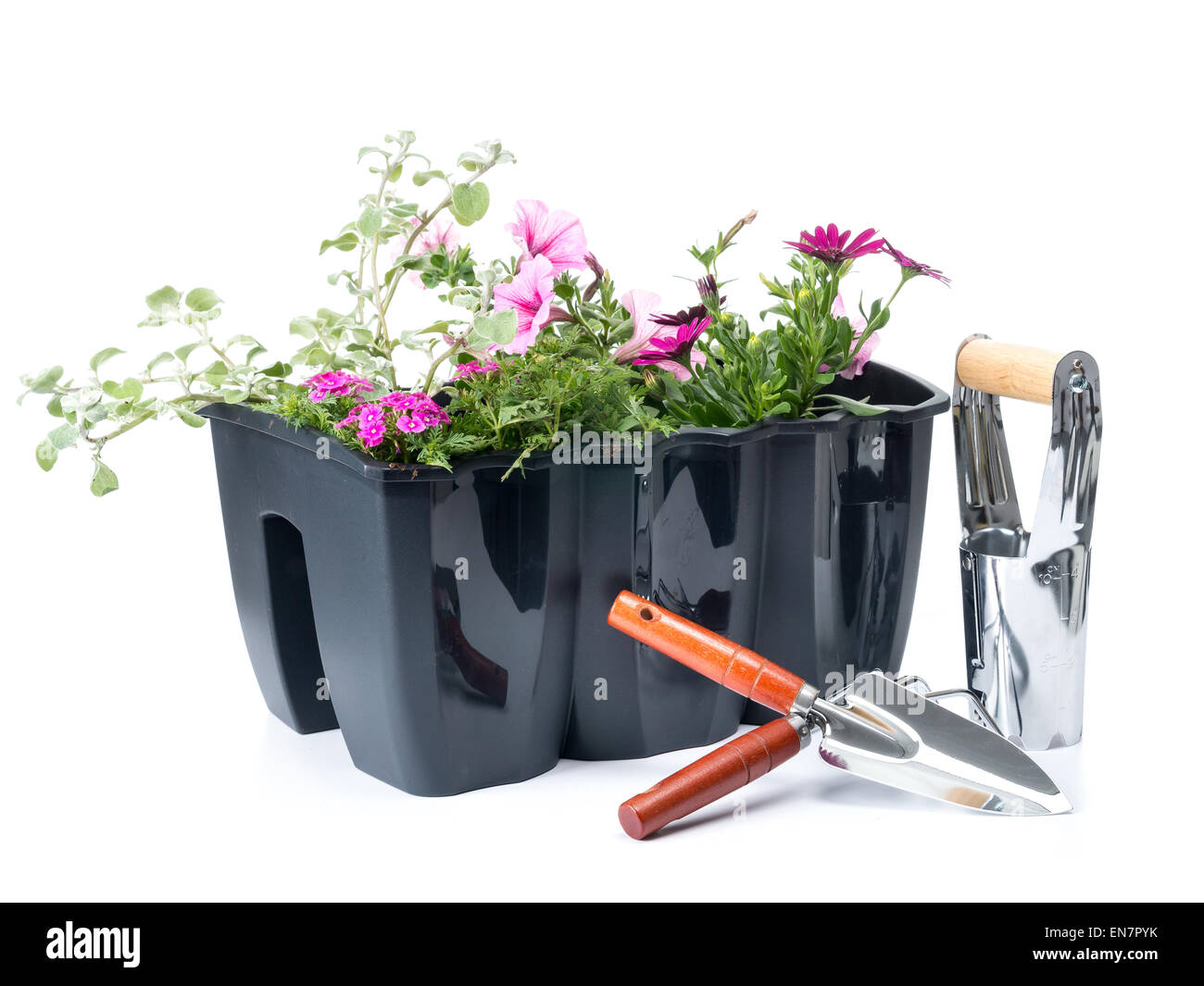 Fiore di plastica scatola con fiori freschi e del giardinaggio utensili a mano shot su sfondo bianco Foto Stock