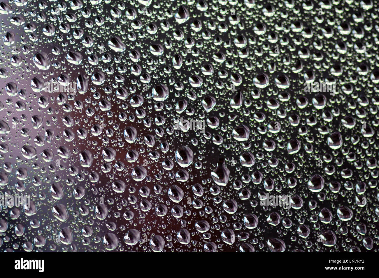 Le goccioline di acqua su un vetro auto dopo un acquazzone tropicale 01 Foto Stock