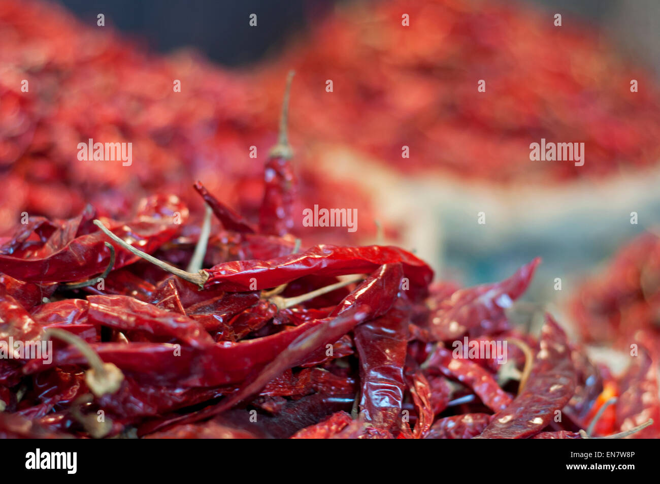 Close-up di peperoncini secchi Foto Stock