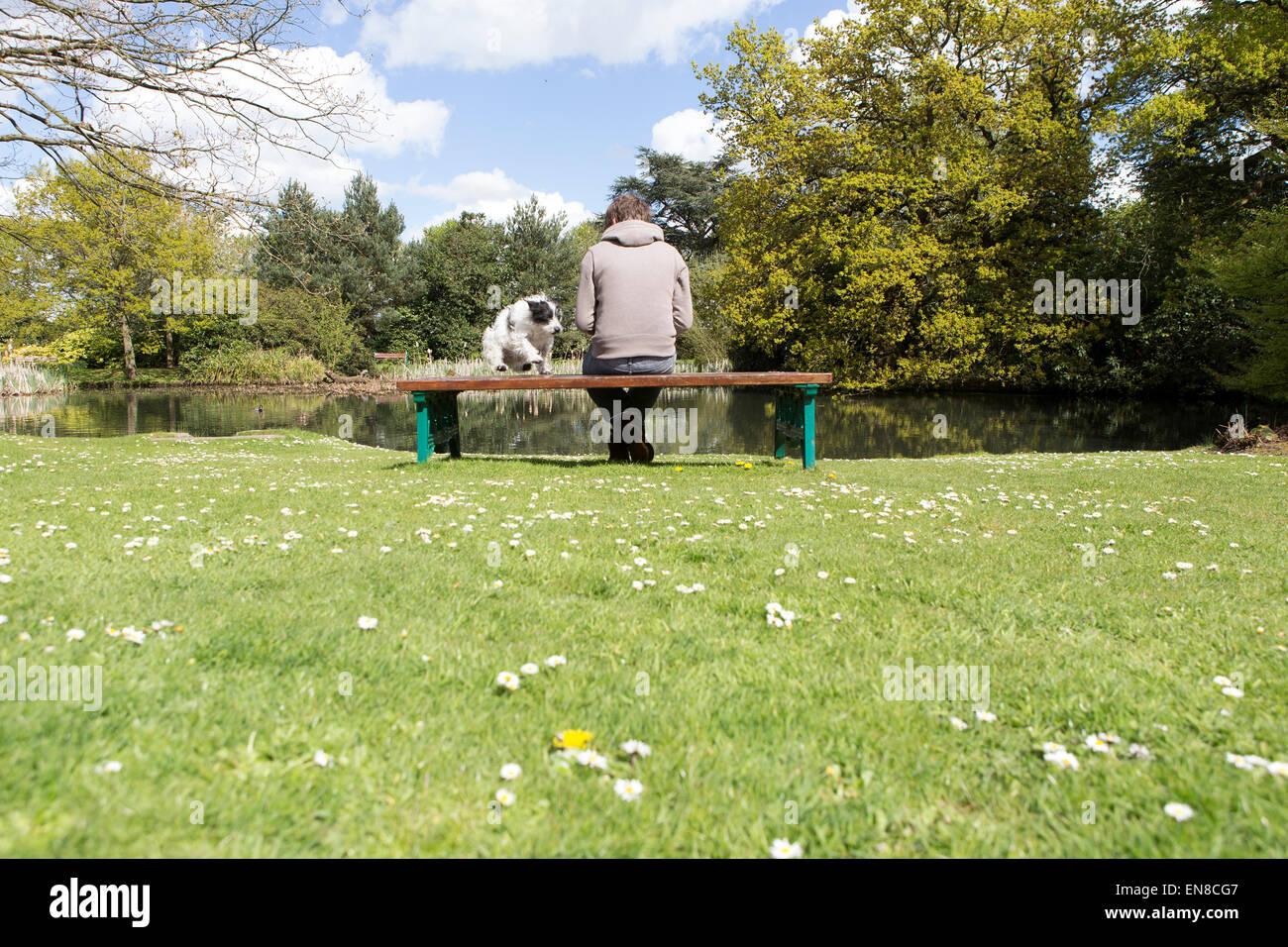 Un uomo si siede su un banco di lavoro con il suo cane in un parco Foto Stock