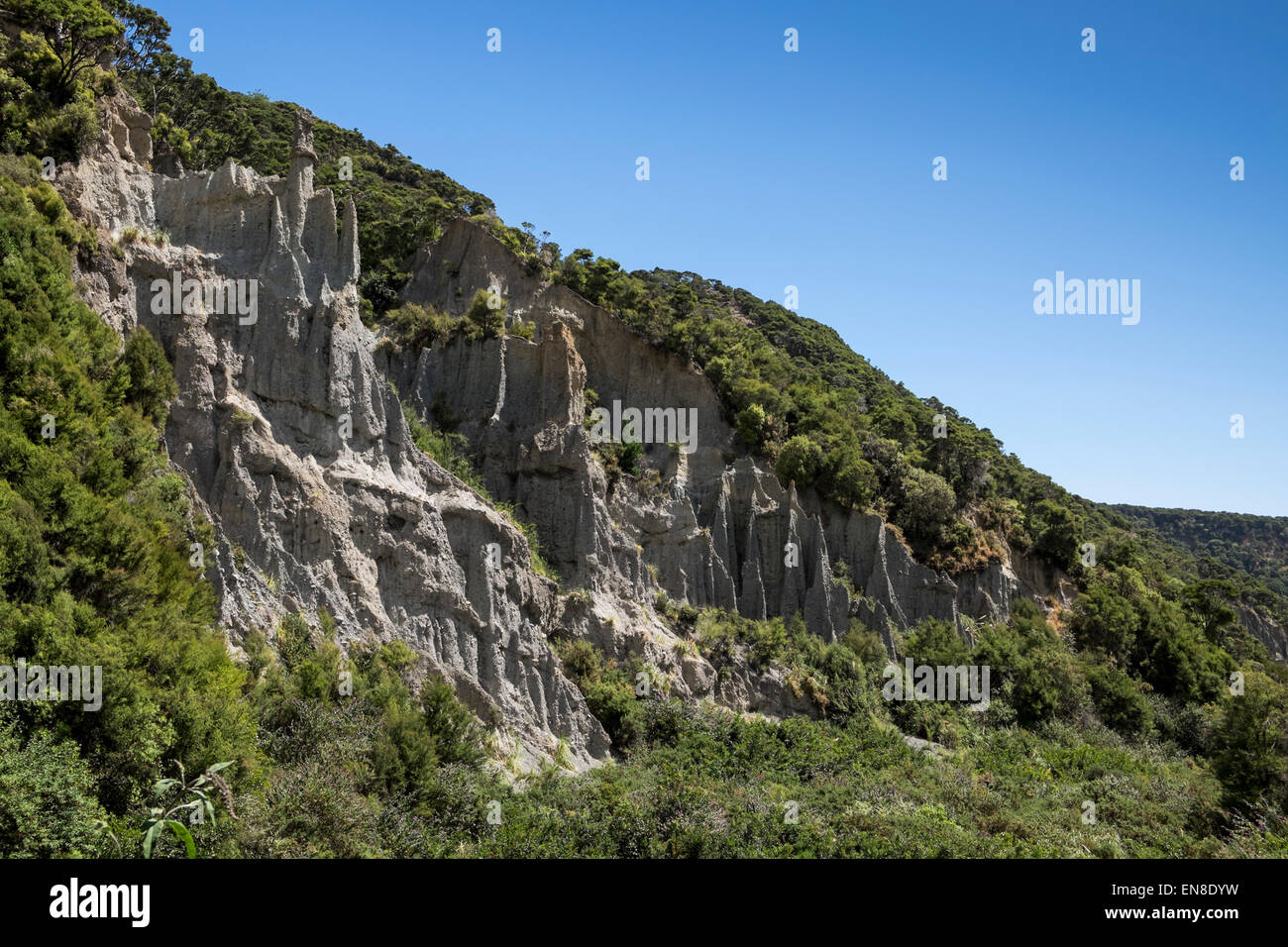 Il putangirua riserva paesaggistica, o pinnacoli, una zona di ghiaia erosa lasciando alte pile di ghiaia, Nuova Zelanda. Foto Stock