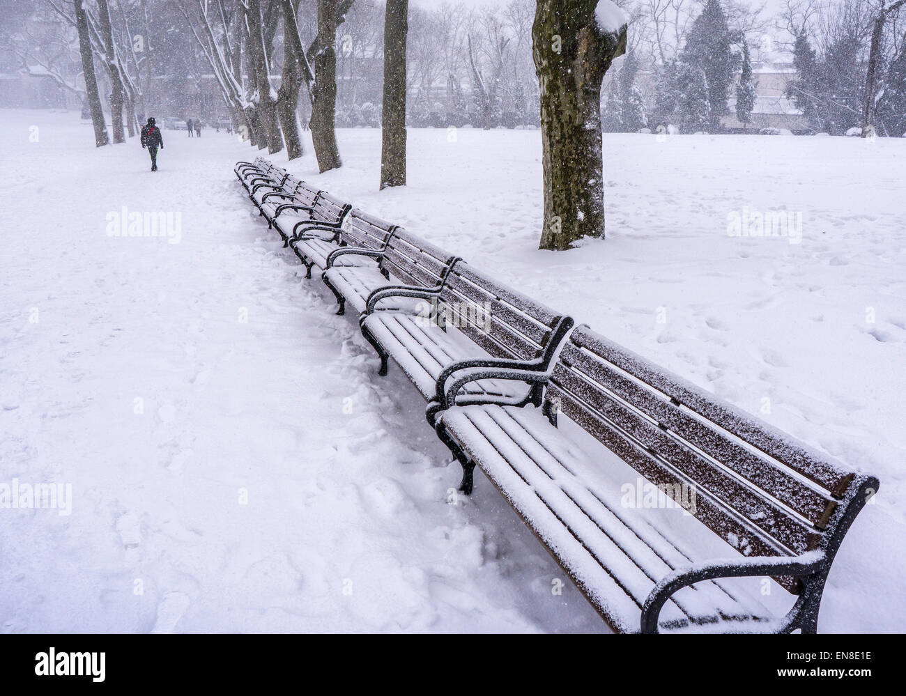 Un inverno tempesta di neve nel Parco Gulhane, Sultanahmet, Istanbul, Turchia. Foto Stock