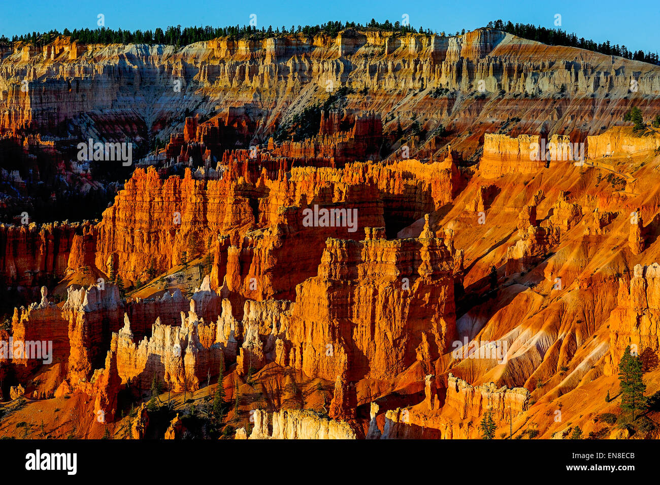 Bryce Canyon, ut, Stati Uniti d'America Foto Stock