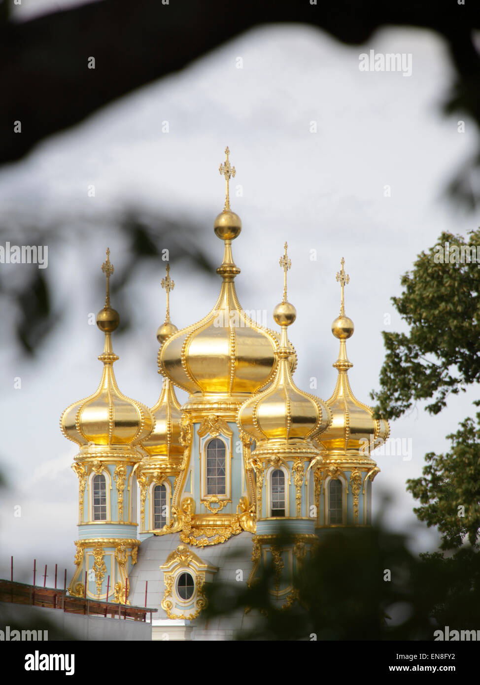 Cupola dorata del Palazzo di Caterina si trova a Carskoe Selo (Pushkin),Saint Petersburg, Russia Foto Stock