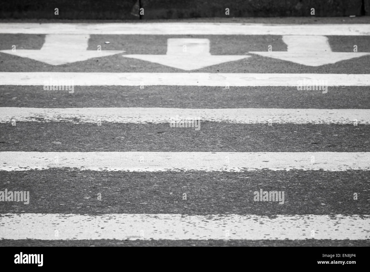 Tre frecce bianche e le linee sul grigio scuro strada asfaltata, attraversamento pedonale la segnaletica stradale Foto Stock