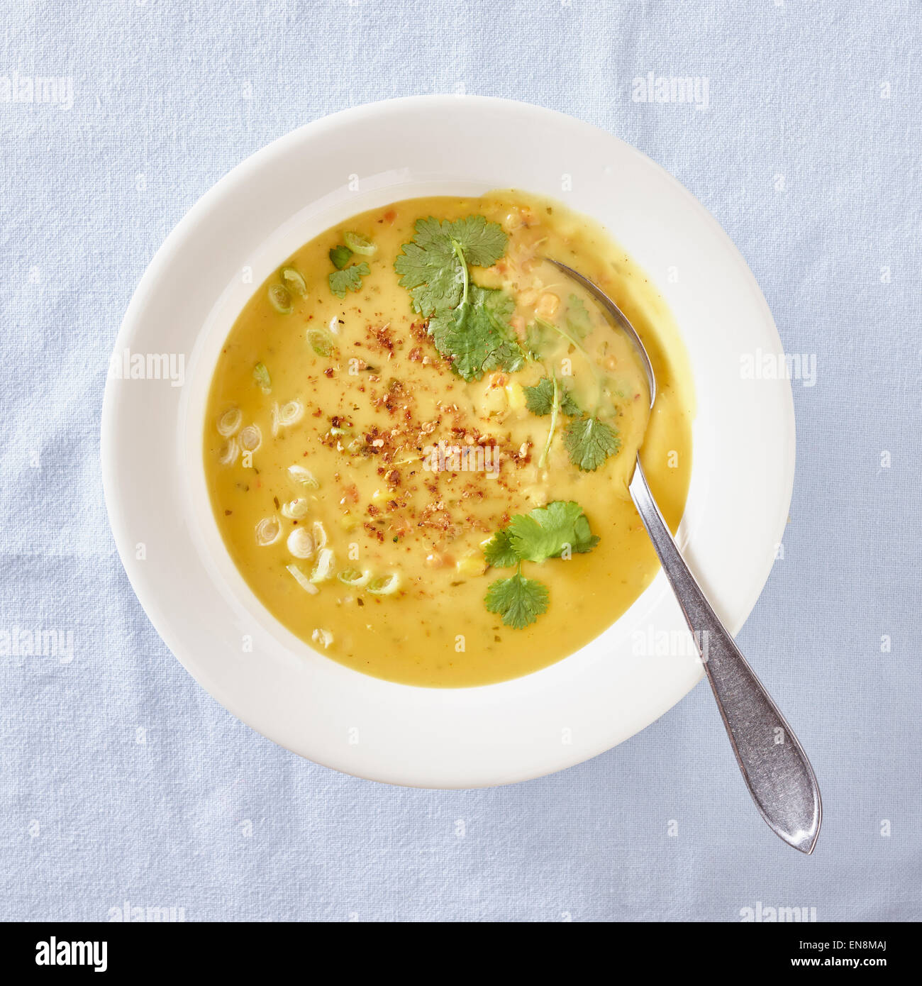 Il cibo a cena, piastra calda zuppa di pollo Foto Stock