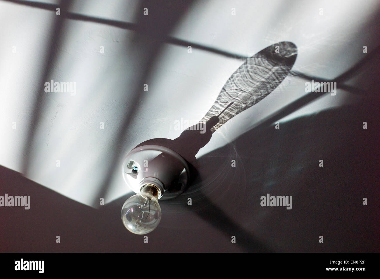 La mattina presto sun crea un modello di ombra da una lampadina a incandescenza su un soffitto del garage Foto Stock