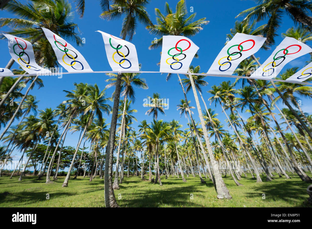 BAHIA, Brasile - MARZO 18, 2015: bandiera olimpica bunting si blocca davanti ad un grande boschetto di palme. Foto Stock