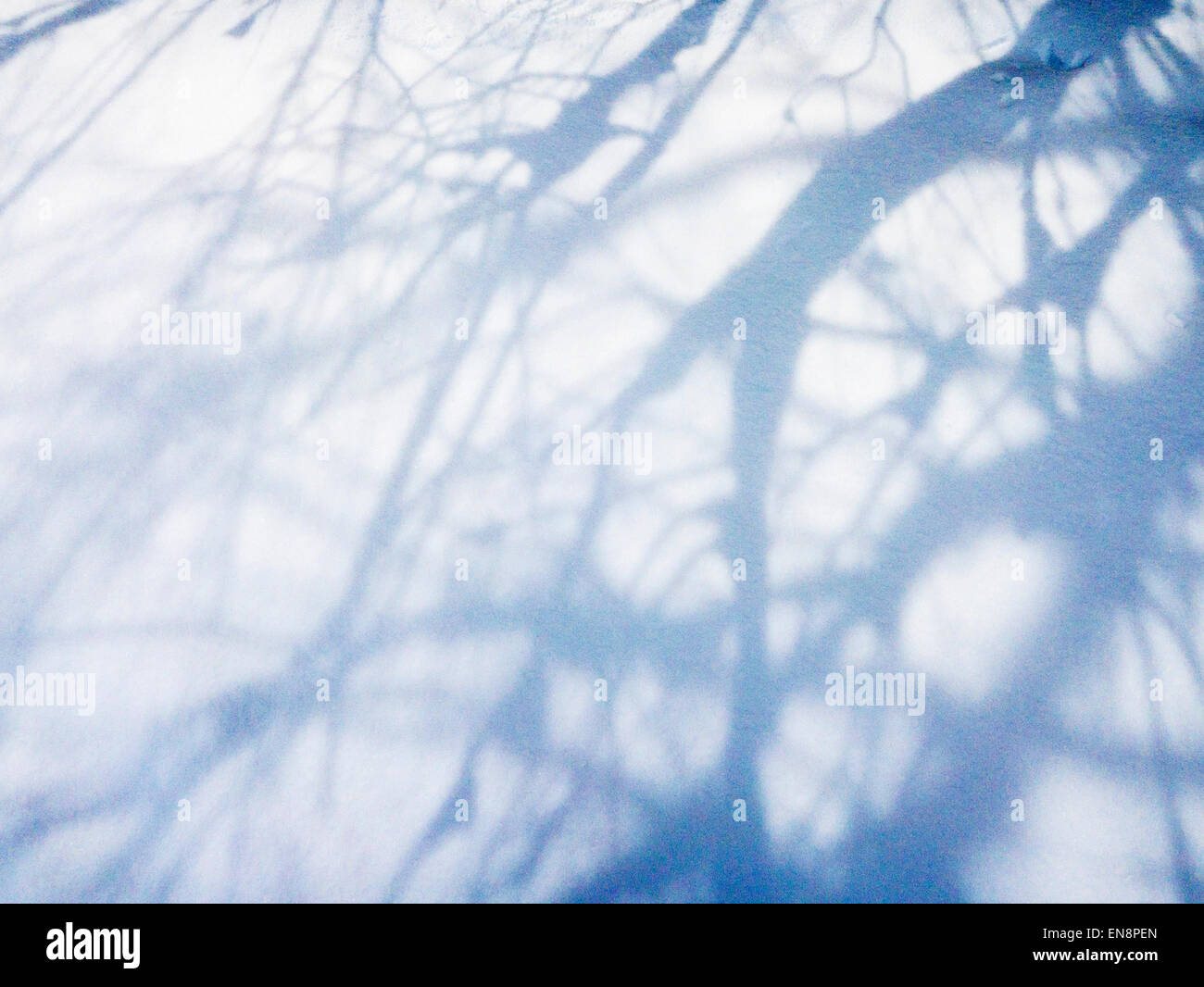 Alberi creare astratti modelli di ombra in neve fresca Foto Stock
