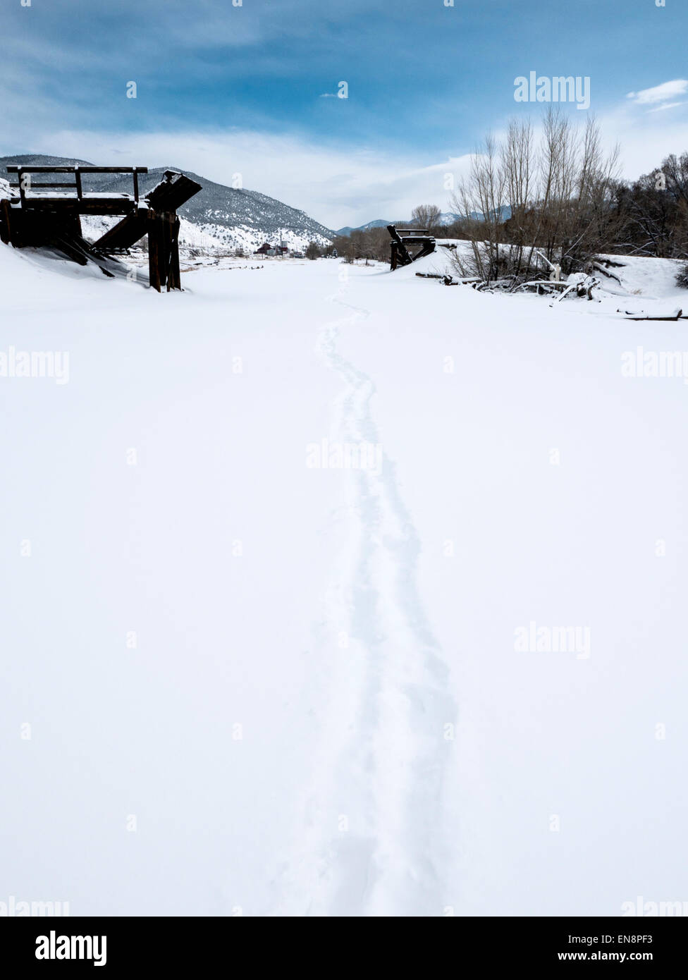 Orme e piste in neve fresca. Foto Stock